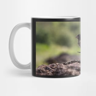 Galapagos Finch Mug